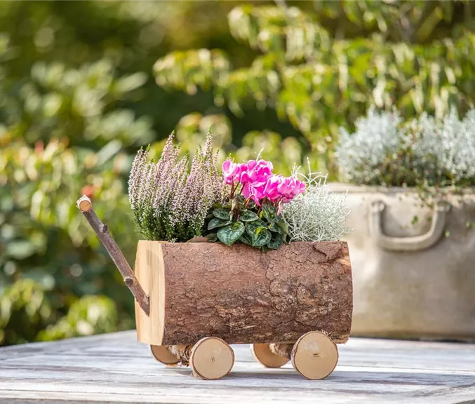 Herbstdeko - Bepflanzter Bollerwagen aus Holz