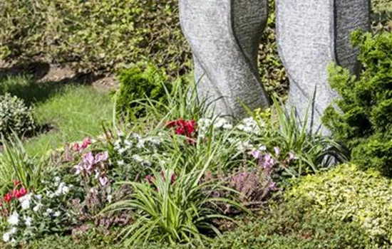 Im Mai bekommt das Grab seine Sommerbepflanzung Im Mai bekommt das Grab seine Sommerbepflanzung