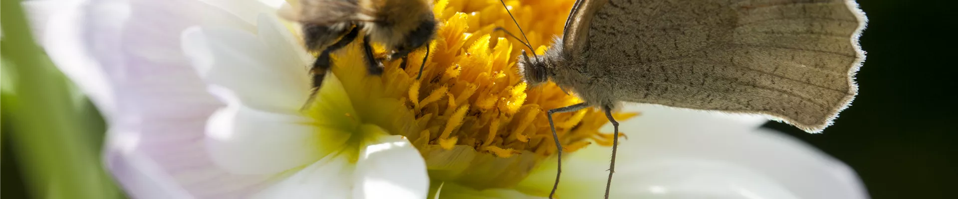 GS496916.jpg GS496916.jpg