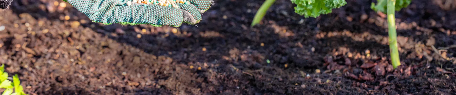 GS652744.jpg GS652744.jpg