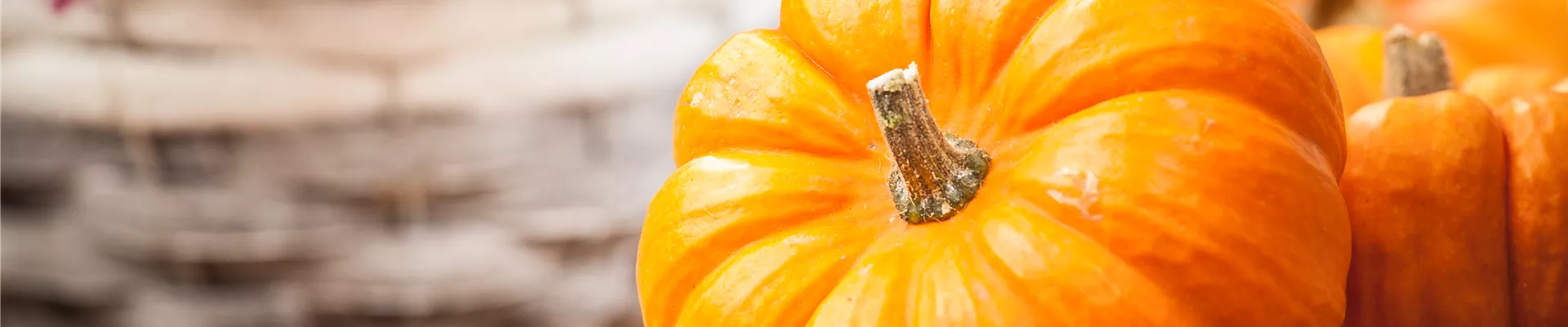 GS534894.jpg GS534894.jpg