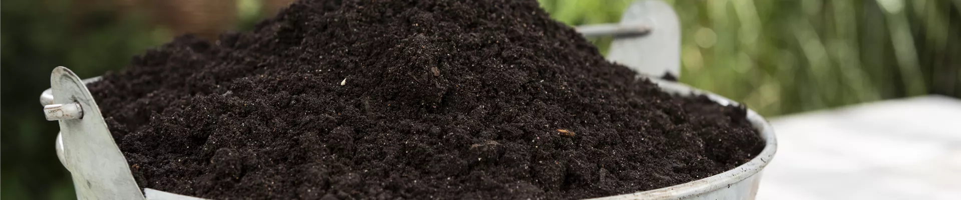 GS584990.jpg GS584990.jpg