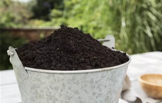 Erde und Substrate legen den Grundstein fürs Wachstum  Erde und Substrate legen den Grundstein fürs Wachstum