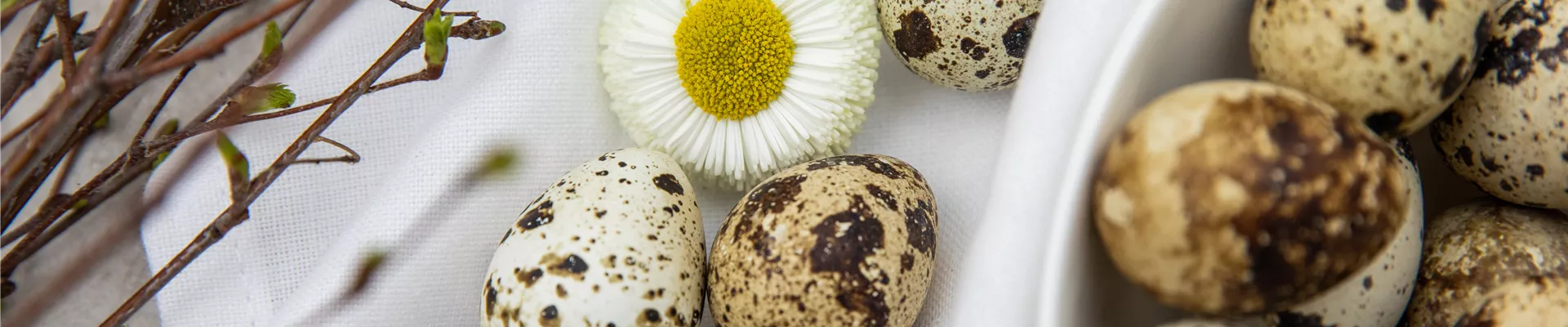 GS651190.jpg GS651190.jpg