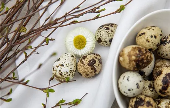 Palmsonntag: grüne Traditionen in der Kirche Palmsonntag: grüne Traditionen in der Kirche