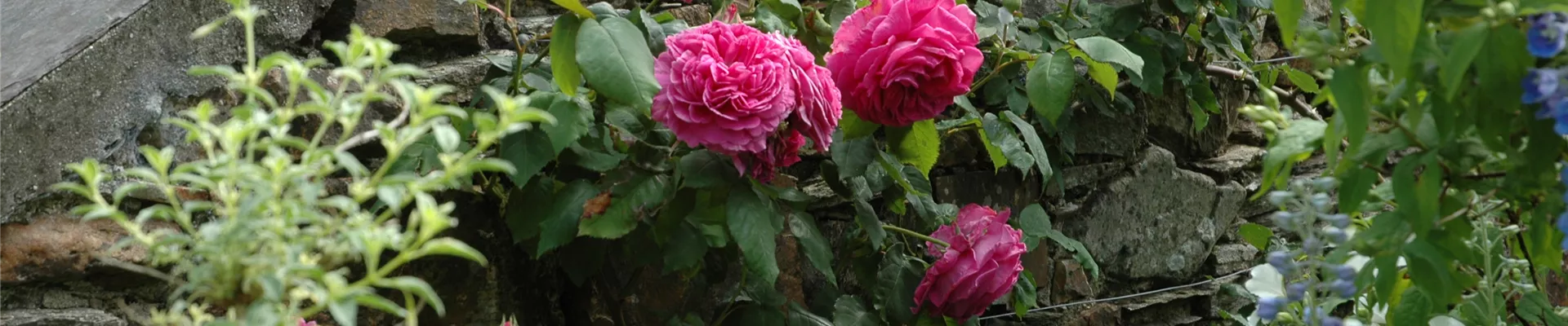 GS621400.jpg GS621400.jpg