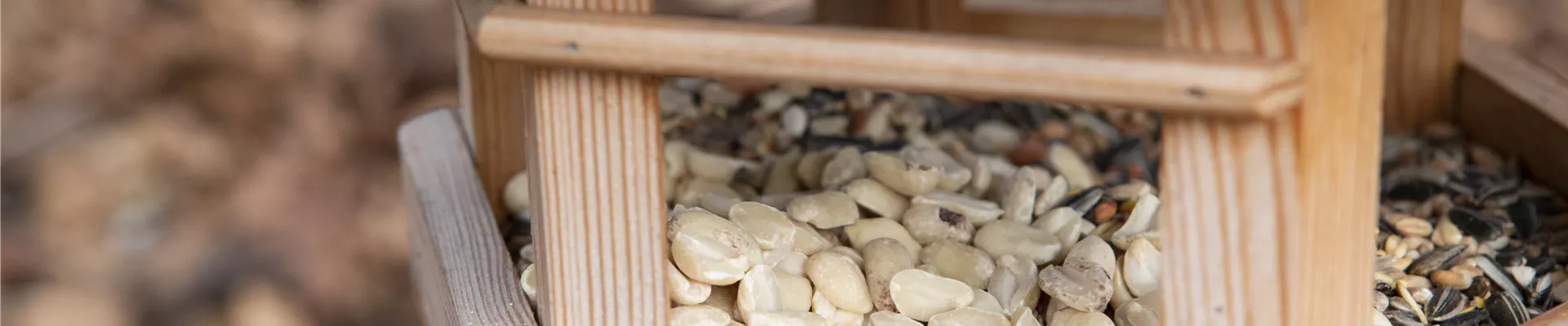 GS597962.jpg GS597962.jpg