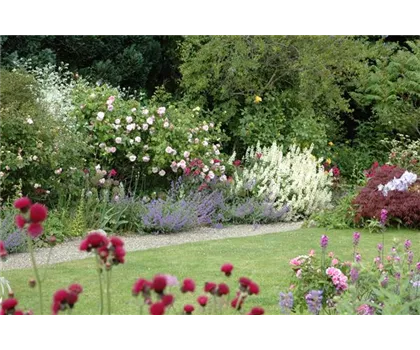 Aller Anfang ist (nicht) schwer - der erste eigene Garten