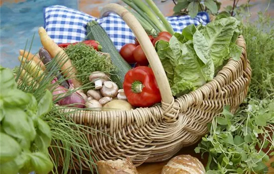 Das Pflanzen von Gemüse  Das Pflanzen von Gemüse