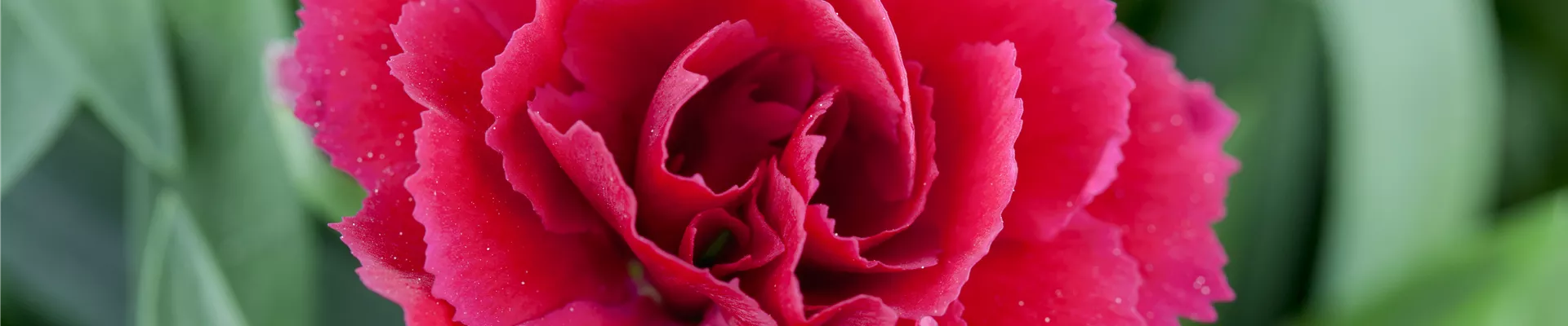 GS490454.JPG GS490454.JPG