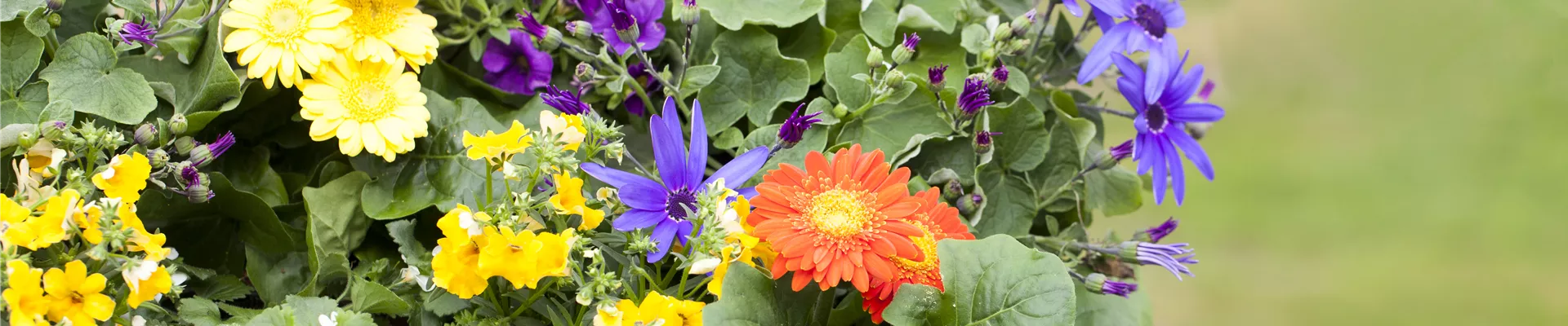 GS524277.jpg GS524277.jpg