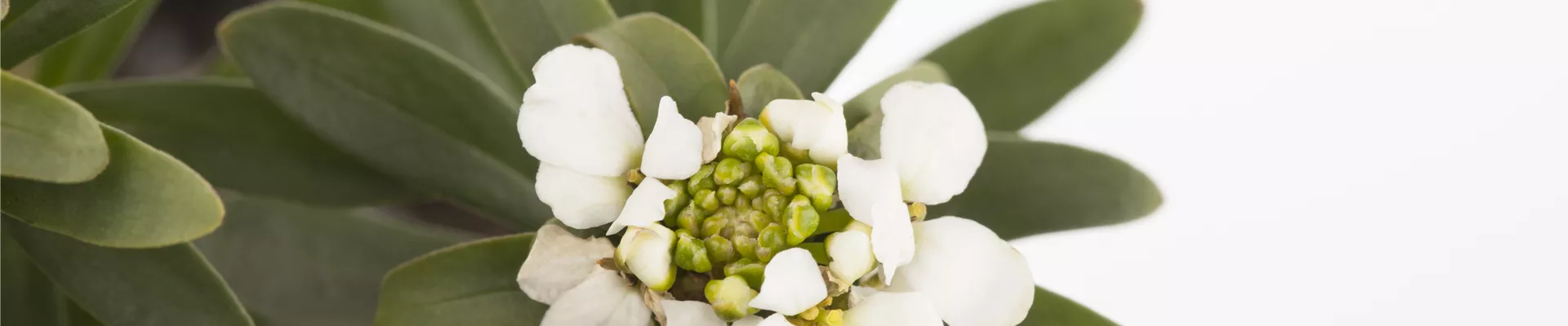 GS458188.jpg GS458188.jpg