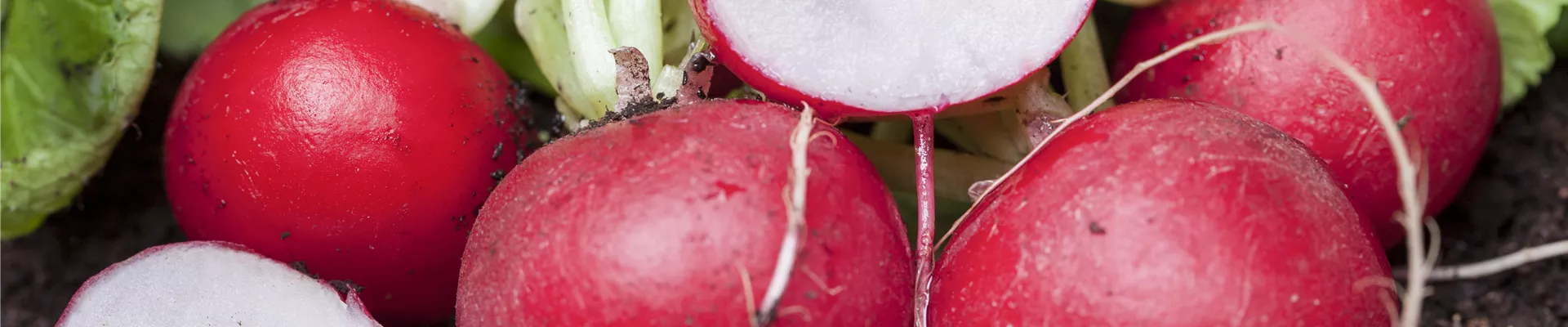 GS457326.JPG GS457326.JPG