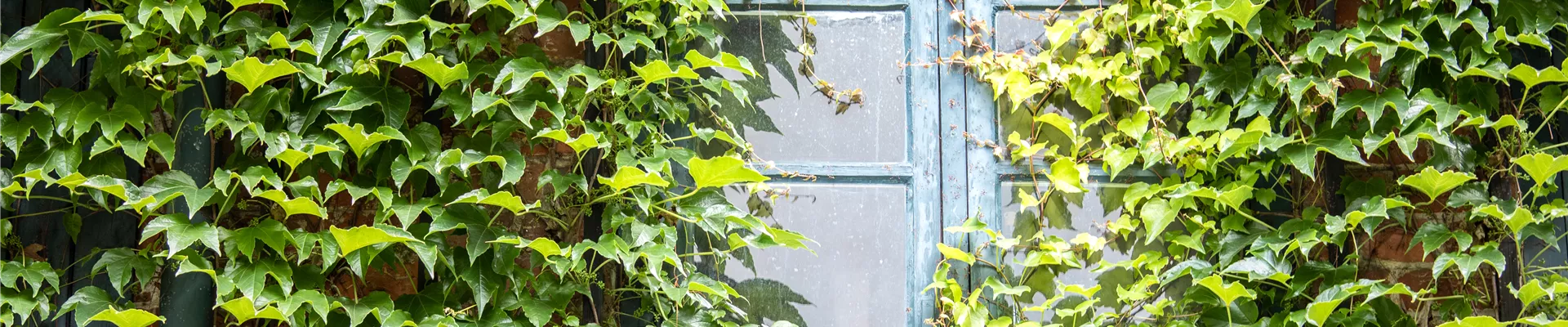 GS622432.jpg GS622432.jpg