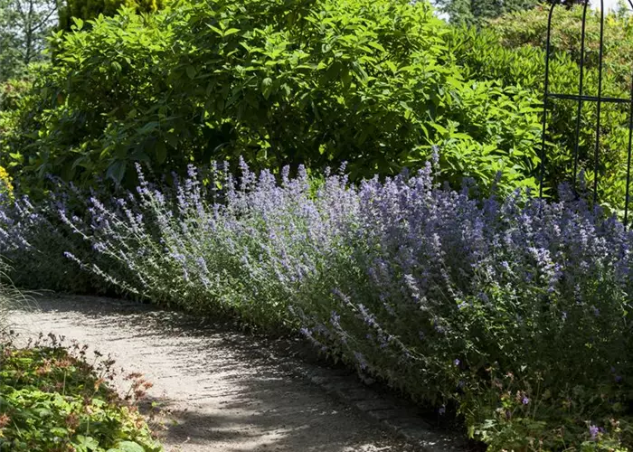 Sie sind bewegend! Wege, die durch den Garten führen.