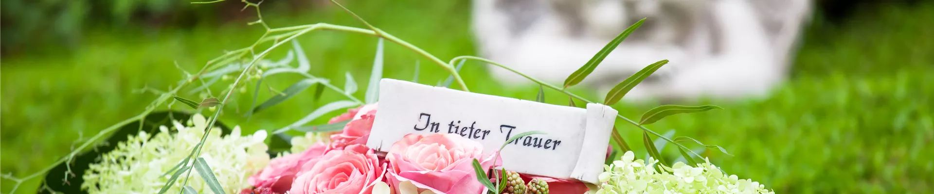 GS501996.jpg GS501996.jpg