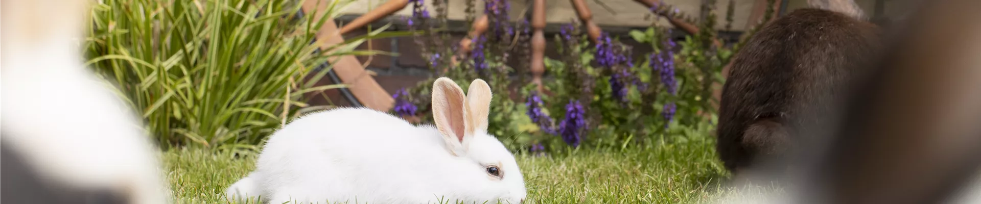 GS585939.jpg GS585939.jpg