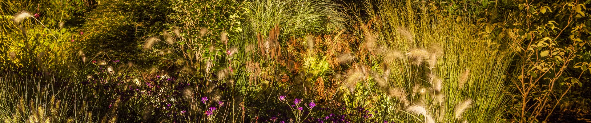 GS503655.jpg GS503655.jpg