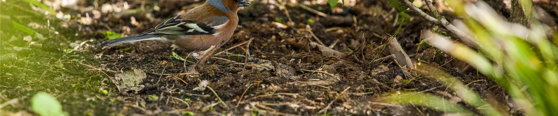 GS600451.jpg GS600451.jpg