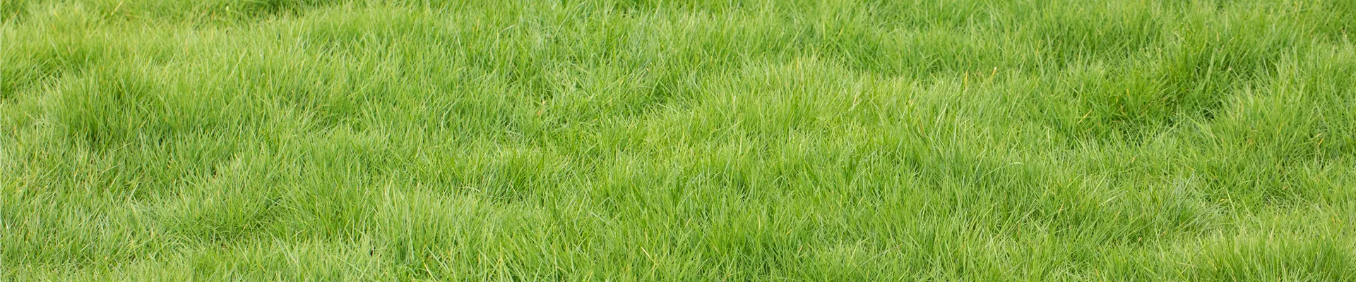 GS656893.jpg GS656893.jpg