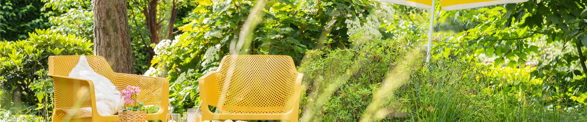 GS668806.jpg GS668806.jpg