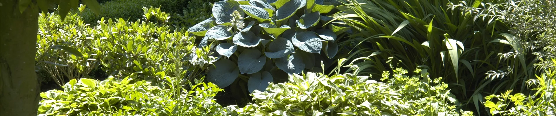 GS620473.jpg GS620473.jpg