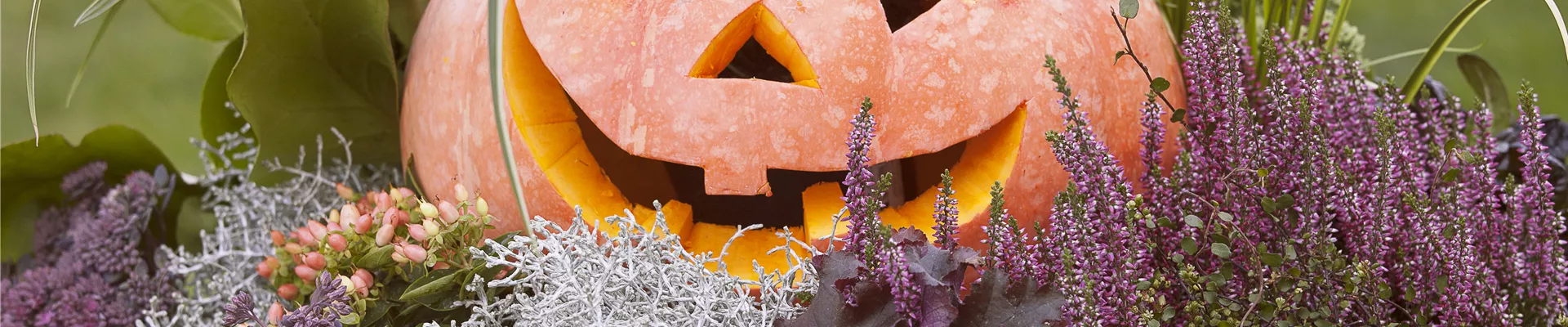 GS503169.jpg GS503169.jpg