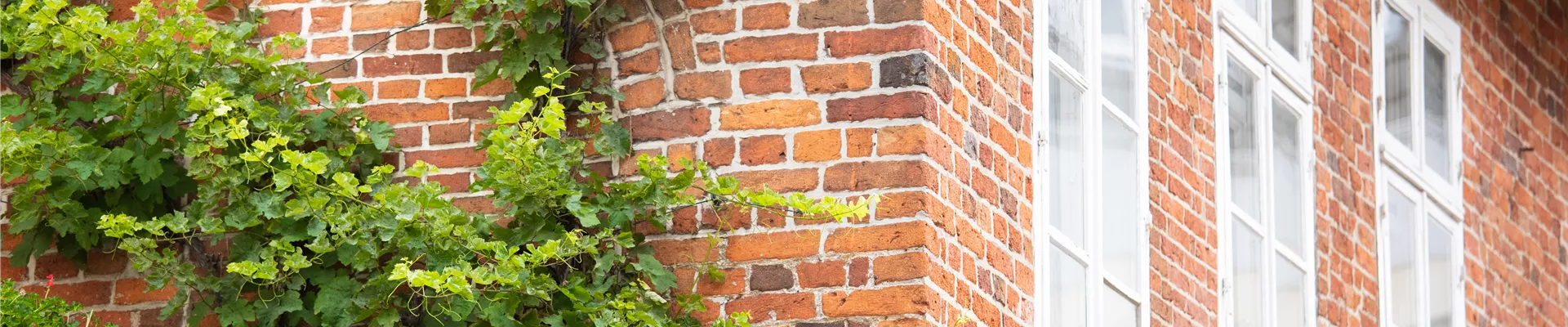 GS622416.jpg GS622416.jpg