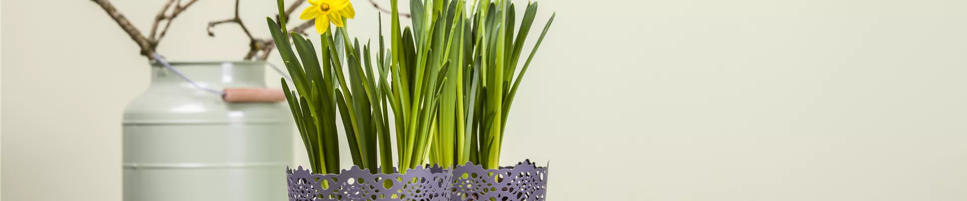 GS469978.jpg GS469978.jpg