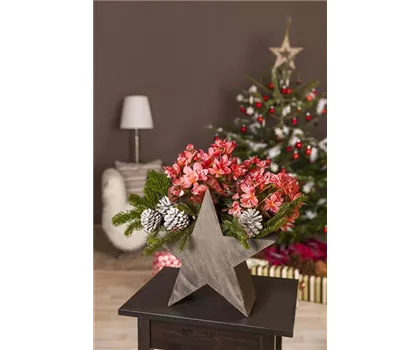 Advent - mit schönen Ideen durch die Vorweihnachtszeit 