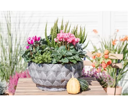 Aus alt mach neu: Blumenkübel nicht wegwerfen!