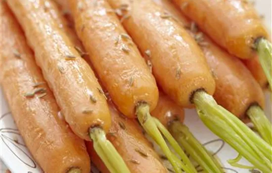 Tipps zur Lagerung von Wurzelgemüse Tipps zur Lagerung von Wurzelgemüse