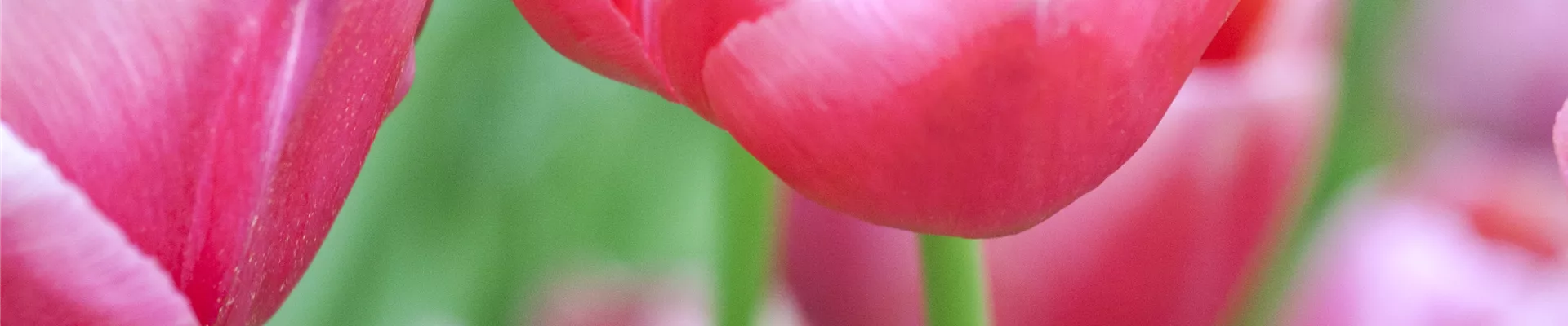 GS490276.JPG GS490276.JPG