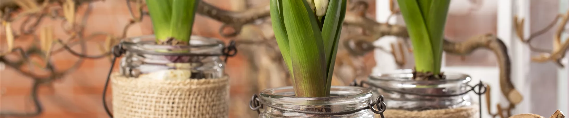 GS603806.jpg GS603806.jpg