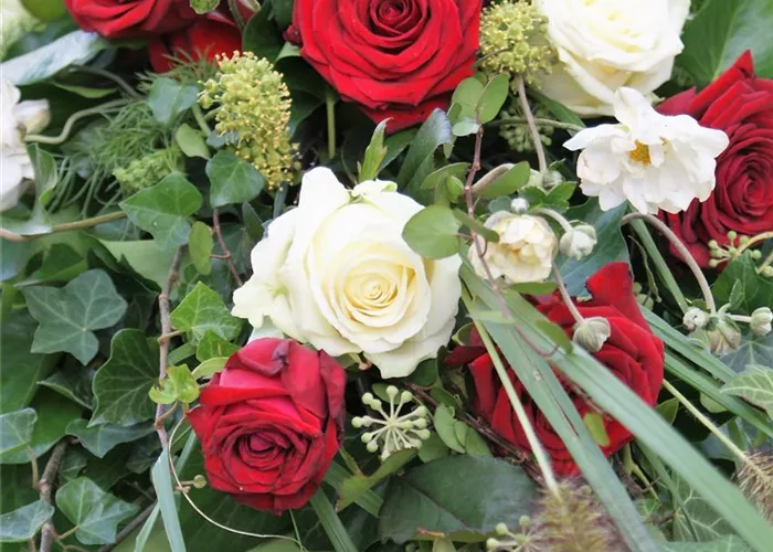 Impressionen_Floristik_4.jpg Impressionen_Floristik_4.jpg