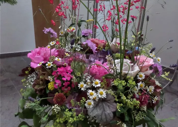 Impressionen_Floristik_11.jpg Impressionen_Floristik_11.jpg