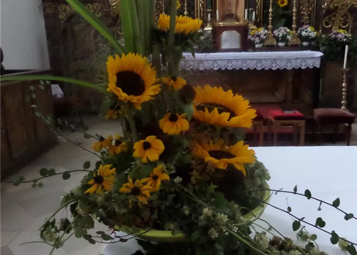 Impressionen_Floristik_15.jpg Impressionen_Floristik_15.jpg