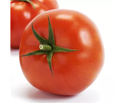 Fleischtomate Imagine Maxi Red F1 (Matias)