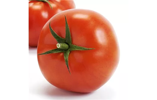 Fleischtomate Imagine Maxi Red F1 (Matias)