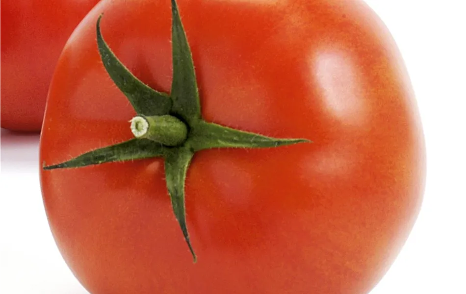 Fleischtomate Imagine Maxi Red F1 (Matias)