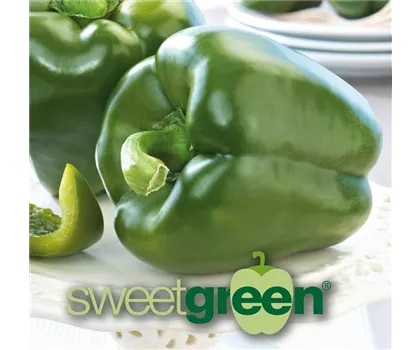 Grüner süßer Blockpaprika 'Sweetgreen' (Beluga green)
