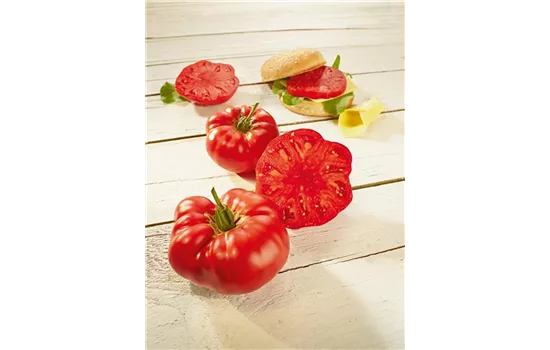 Jumbo-Fleischtomate 'BuffaloSteak' (Supersteak F1)