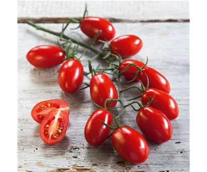 Pflaumen-Cherry-Tomate 'Dasher' - 'Mirado Red'
