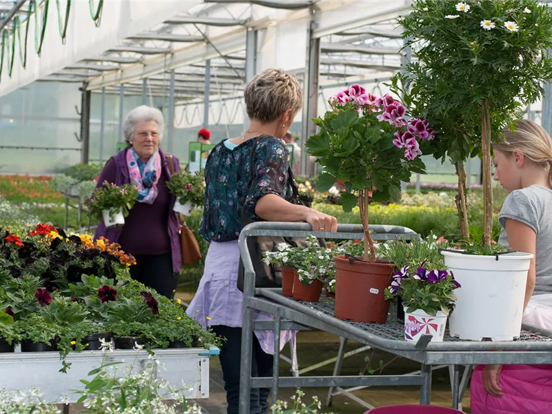 Tag der offenen Tür und Maimarkt in Birkenried 