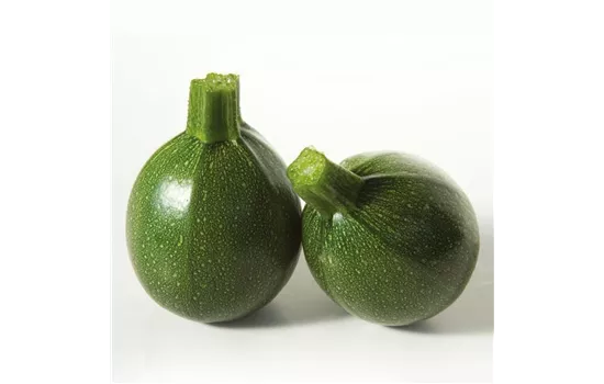 Zucchini 'Satelite', grün, rund