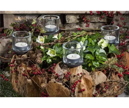 Adventskranz gestalten