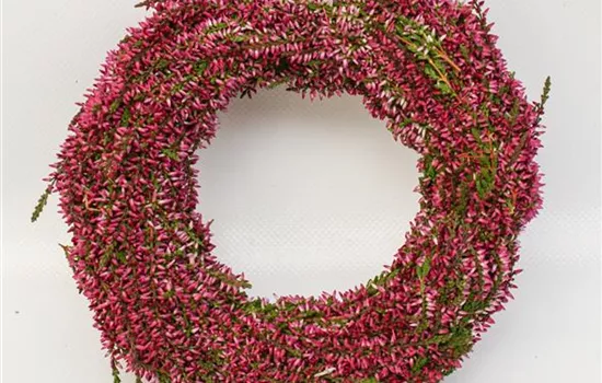 Erika Kranz / Türkranz, frisch gebunden Erika Kranz / Türkranz, frisch gebunden