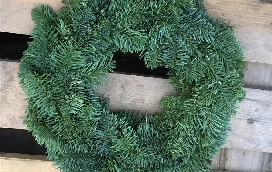 Adventskranz / Türkranz Nobilis, echte Tanne