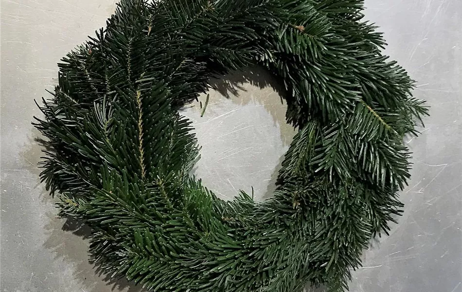 Adventskranz / Türkranz Nordmanntanne, echte Tanne