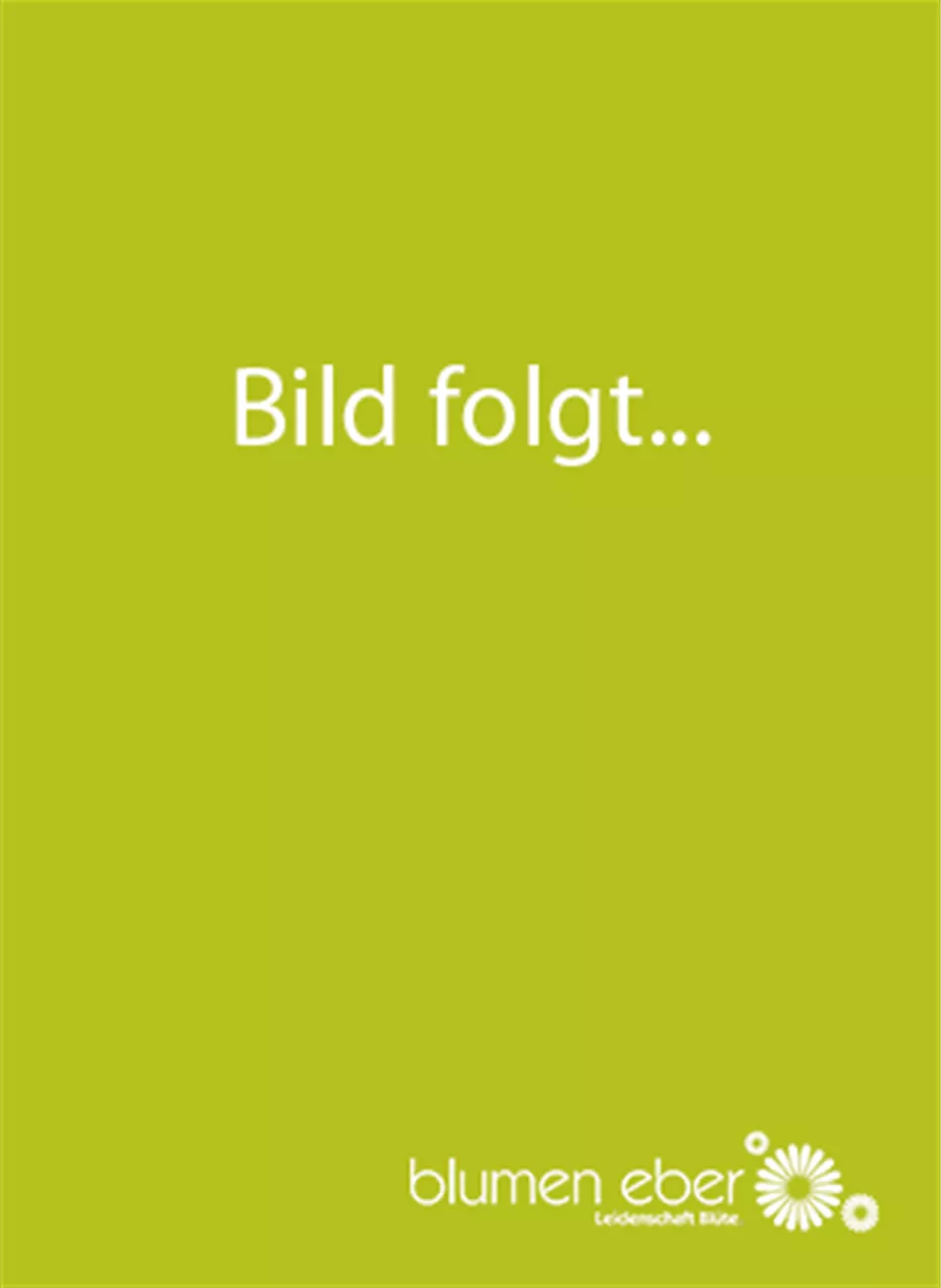 Andrea Schweidler Andrea Schweidler